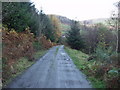 Forestry track leading to Bwlch-sych