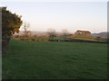 Field at Rowden Thorn