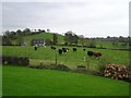 Lismulrevy Townland