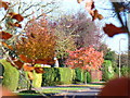 Autumn in Downside Road