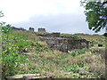 Ruin near Moorhouse Guards