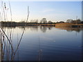 Rainton Meadows Nature Reserve