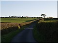 Lane to Charlacott Cross