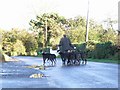 N8264 : Dog Walking in Churchtown, Co. Meath by JP