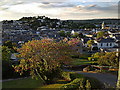 Newton Abbot Skyline