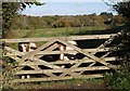 Ponies at Fremington