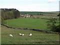 Highfield Farm, pastures and woodland near Catton