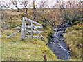 Burn at Craggiemore