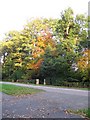 Trees on Kenilworth Road (A429)