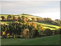 River Tweed