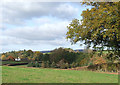 Grazing Land and Woodland, The Lye, Shropshire