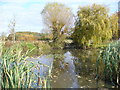 Wood Street Village Pond