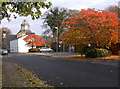 Cherry Trees Club in Autumn