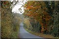 The Bann Road near Scarva