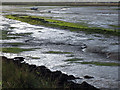 Colour contrasts at Landermere Creek