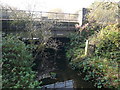 Coney Green - River Rother passes under Railway