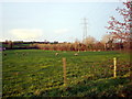 Sheep Farming, Corlust Road, Tandragee