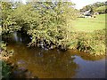 The Eastern Cleddau, Llandissilio East