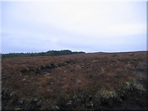 NN6062 : Forest/moorland boundary by Andrew Spenceley