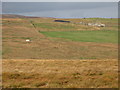 The valley of Middlehope Burn