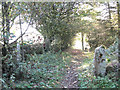 Bridleway from Linton