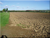 TQ0803 : Ploughed field, Roundstone Farm by Peter Holmes