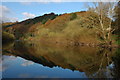 Autumn colours reflected in the River Wye, Redbrook