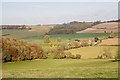 View towards Riplington from edge of Hen Wood