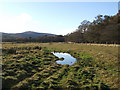 Boggy ground near Ennochie ford