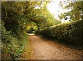 Track towards Hamstead