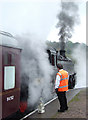 SK0247 : Steam locomotive on the Churnet Valley Railway, Staffordshire by Roger  Kidd