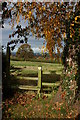 Stile and footpath at Staunton on Wye