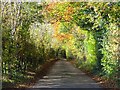 SU8086 : Lane near Bockmer End by Andrew Smith