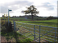 Farmland south of Callow