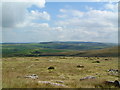 Looking towards Codda Ford from Catshole Tor