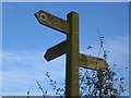 Three way footpath junction fingerpost