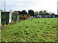 Miscellaneous fowl at Melles Court Farm