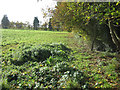 Footpath beside woodland near Melles Court Farm