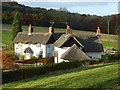 Cottages, Bluey