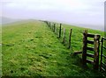 Above Compton Farm