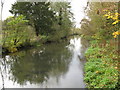 River Lambourn as seen from the Bridge.