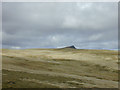 NN8997 : Plateau south of Sgor Gaoith by Nigel Brown