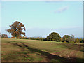 Crop Field near Loughton, Shropshire