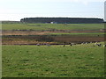 View SW from near Inverord Cottage