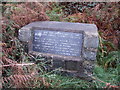 Hidden tribute on a Barmouth hillside