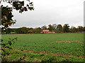 View west across farmland from unnamed country lane