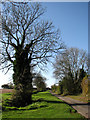 Looking west on School Road