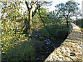 Bridge at South Hourat Farm