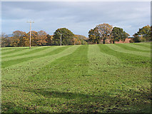 SO6729 : Farmland at Kempley Green by Pauline E