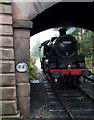 Steam Engine under Froghall Bridge, Staffordshire